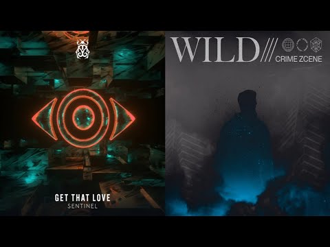 Sentinel, Ivan Gough, Crime Zcene  - Get That Love x In My Mind x Wild (Martin Garrix Mashup)