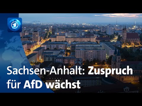 Ein Jahr vor der Landtagswahl: AfD laut Umfragen in Sachsen-Anhalt vorne