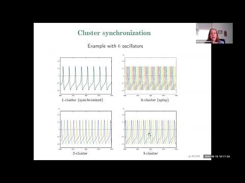 Time Delay Systems Webinar - Sue Ann Campbell - 2025 June 13