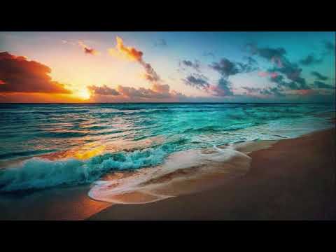 Ofshane - Sunset n Beachz