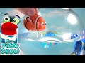 Disney Pixar Finding Dory Bath Fun