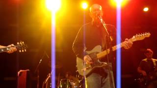 dBs     The Wonder of Love