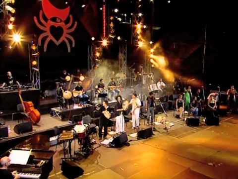 La Notte della Taranta 2010 - Pizzica di Aradeo