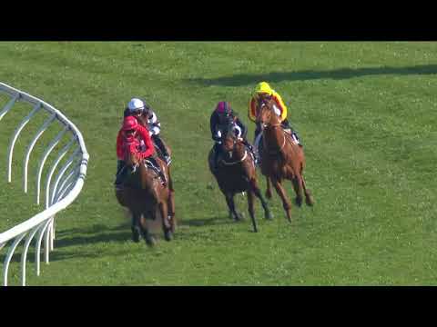 Redzel winning the Gr 3 Concord Stakes