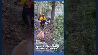 Goat escort guides Colorado Springs firefighters through terrain to ‘Rock Creek Fire’ #goat #fire