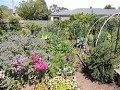 Solutionaries Community Clean Up Garden Projects W Harry Eldridge
