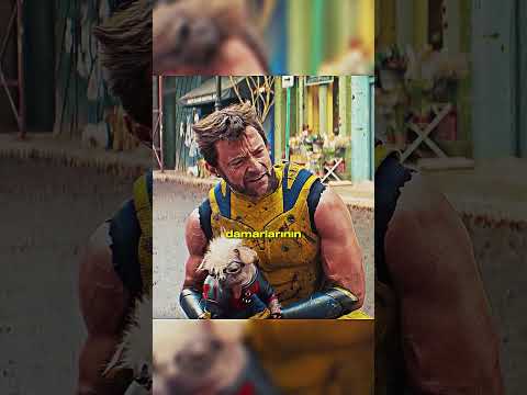 Wolverine neden bu kadar kaslı görünüyor?