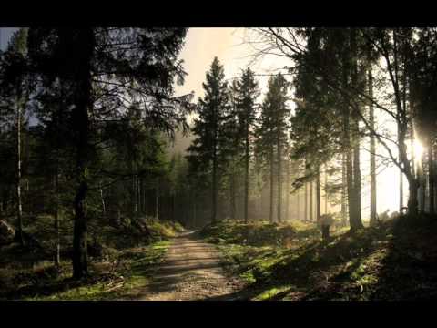 Nitrous Oxide feat  Aneym   Follow You Sceleton Remix