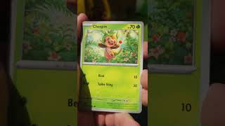 Daily Ripz, in the sun 🌞 #pokemon #pokemonchannel #collectiblecardgame