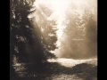 Nebelung - Hoffnung 
