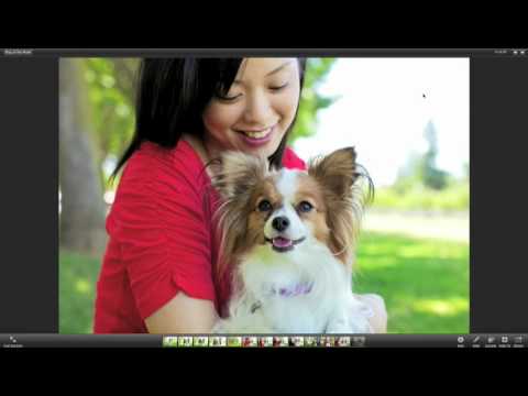 Apple iLife '11 iPhoto New Full-Screen Modes