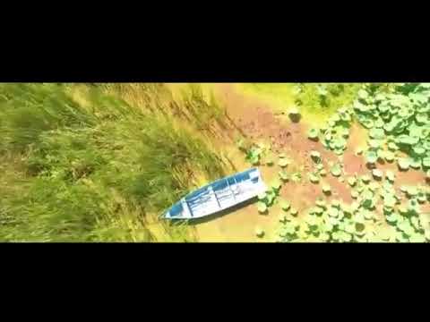 Last Wish ...Reza J.Afshar