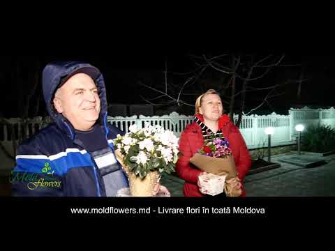 caut baiat pentru o noapte in szeged caut baiat tanar strășeni