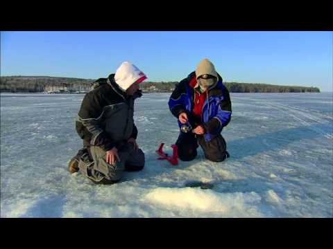 Late Ice Fishing Steelhead Action!