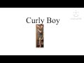 REUPLOADED Curly Boy Logo Package 2008 Present