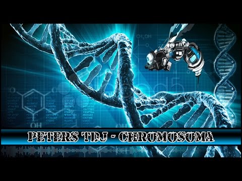 PETERS TDJ - CHROMOSOMA
