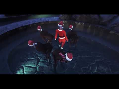 video image