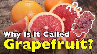 Why Do We Call It Grapefruit When It Isn’t a Grape? [ID0615]