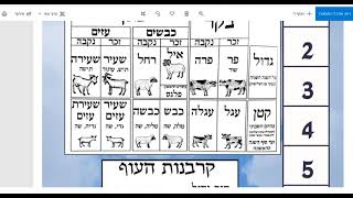 שקלים טו