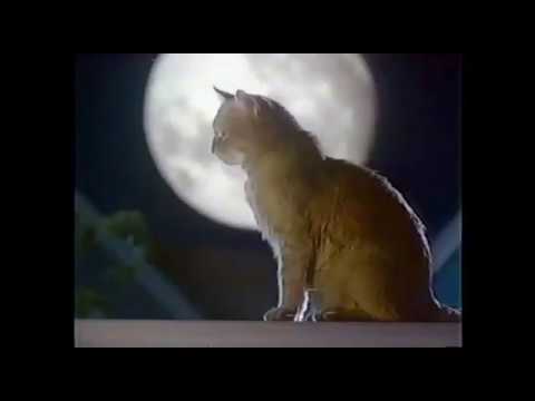 9 Lives Cat Food Morris 1986