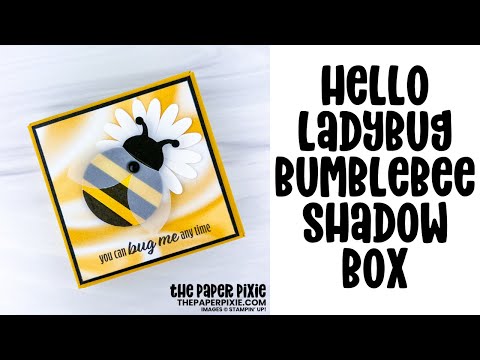 Hello Ladybug Bumblebee Shadow Box Tutorial