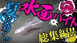 【バス釣り】夏といえば表層!!厳選水面バイト無限リピ/Massive Large Mouth Bass blowups in Summer.