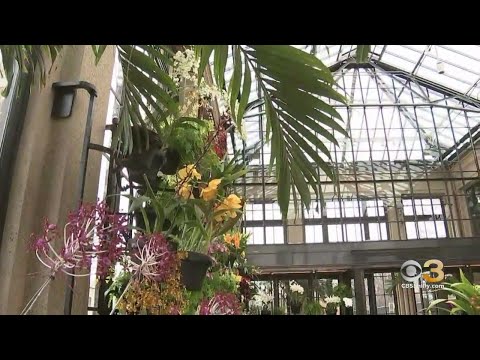 Longwood Gardens Opens Doors To Newly Restored Orchid House