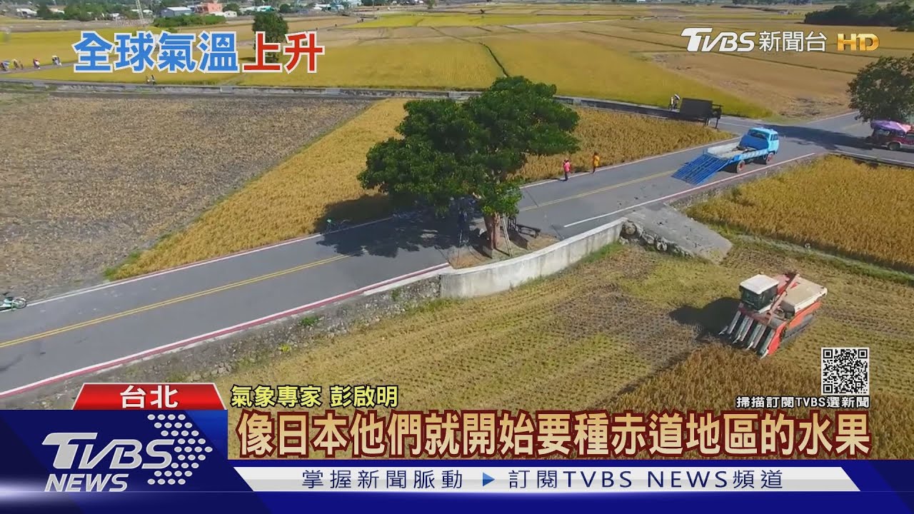氣候變遷恐致「斷糧危機」! 全球升溫2°C這「5種食物」恐絕跡