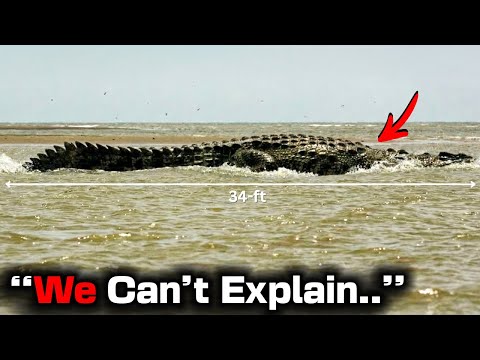 Man Filmed NEW Unknown Crocodile Double The Size Of Gustave & Experts Refuse To Comment!