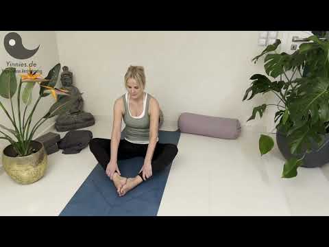 der sitzende Schmetterling