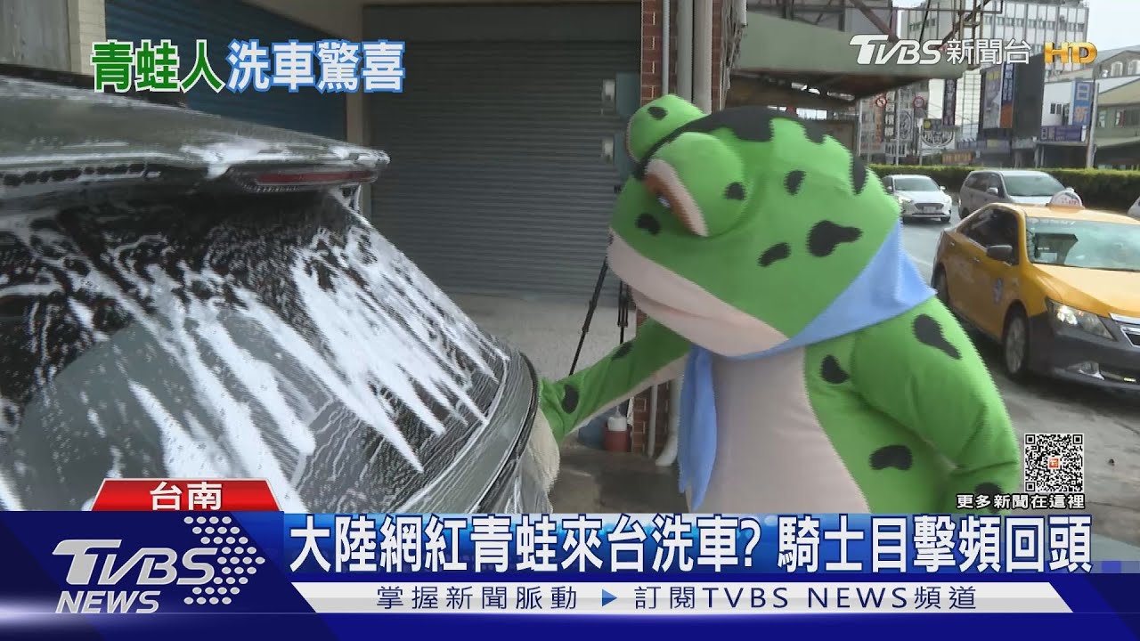大陸網紅青蛙來台洗車引側目！　網友笑：終於找到工作了