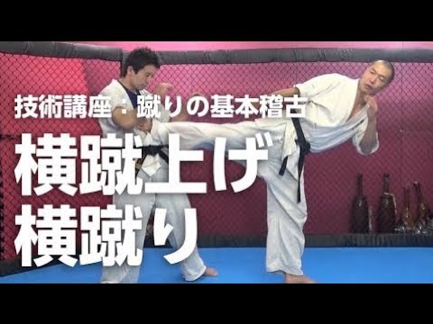 横蹴上げ／横蹴り サイドキック：蹴りの基本稽古３【空手道禅道会 技術解説：17 】武道総合格闘技 ／How To Side Kick MMA KARATE