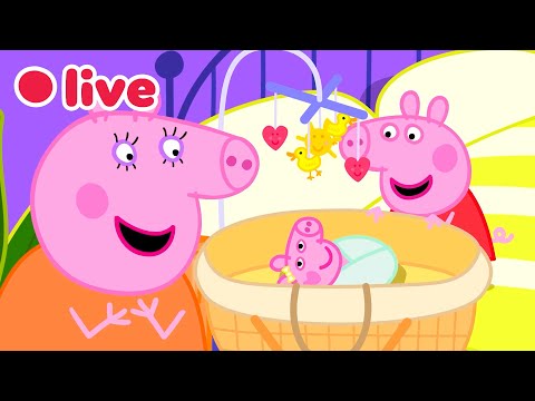 🔴 Peppa Pig BEBÈ EVIE Episodi IN DIRETTA 🍼 I Migliori Momenti di Evie 🥹 Cartoni per Bambini