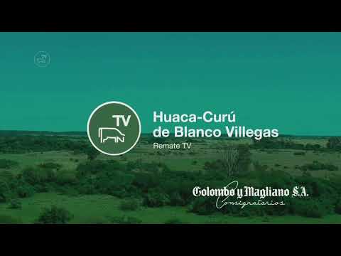 Remate TV - Remate Cabaña Huaca Curu