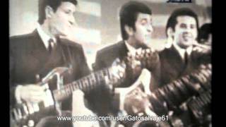 Los Wonderfull "Got To Get You Into My Life" Tv Clip 1967