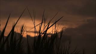 Download lagu (background video) senja menjelang malam. mp3