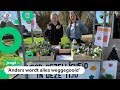 Evi en Julia helpen Evi's vader met bloemen verkopen