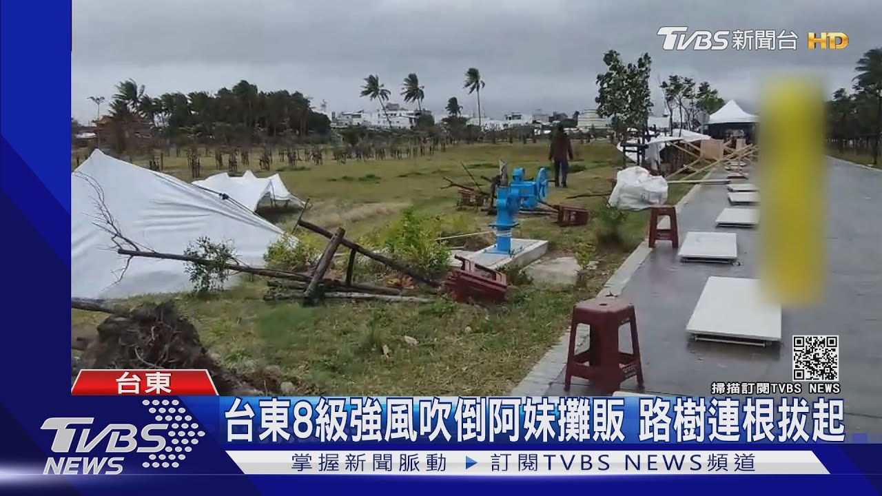 台東8級強風吹倒阿妹攤販 路樹連根拔起