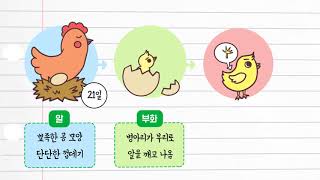 과학 3학년 1학기 3단원 7차시 영상(58-59p)