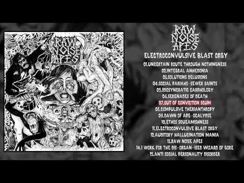 Raw Noise Apes - Electroconvulsive Blast Orgy 10" FULL ALBUM (2014 - Grindcore / Noisegrind)