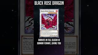 How Good Is BLACK ROSE DRAGON In Domain Format? [ Domain Format Card Ranking ]