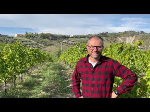 Ausonia, Abruzzo: Slow Wine 2025