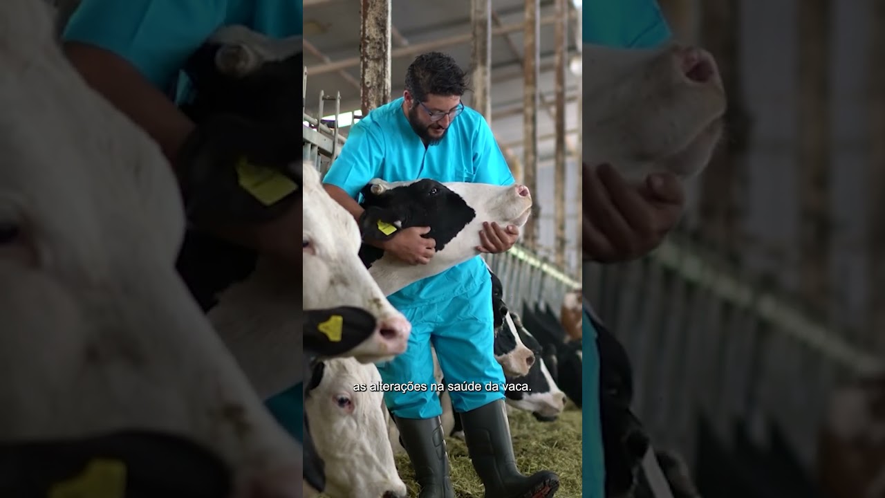 E se a vaca pudesse “avisar” quando algo não vai bem? 🐄