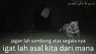 Download lagu Story wa 30 Detik macan putih perabu siliwanggi mp3
