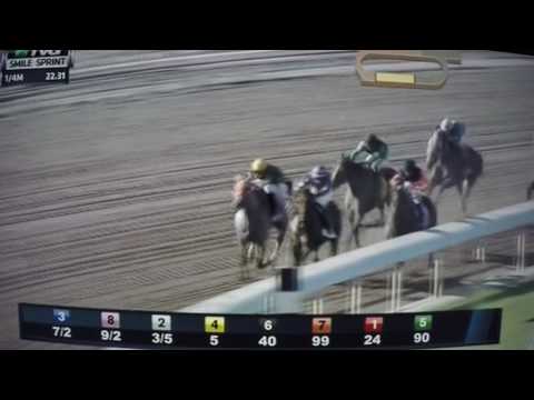 SMILE SPRINT S, (G3) $250,000 2017 - IMPERIAL HINT !!!