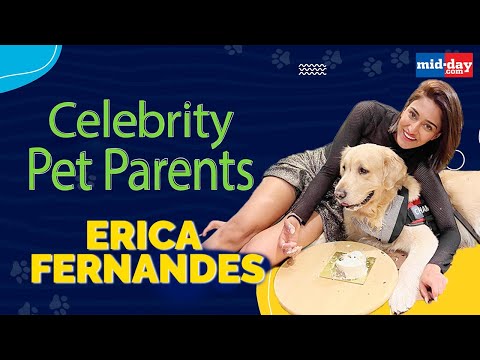 Meet Erica Fernandes's Terrific Trio- Champ, Ginger And Coco | Celebrity Pet Parents