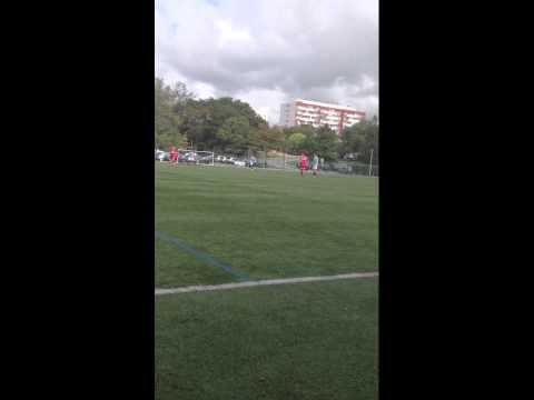 Mihai Pavel, Cohani, Bihor