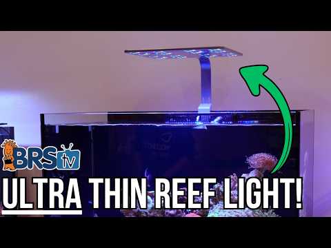 Ultra-Slim, High-Power Reef Tank Lighting!
