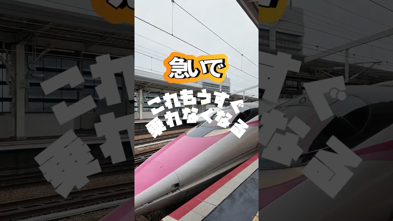 【終了間近】キティ新幹線が想像以上すぎた…🎀🚄