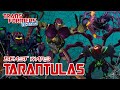 TRANSFORMERS THE BASICS On TARANTULAS
